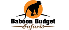 Baboon Safaris